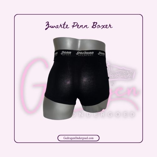 Achterkant Zwarte Penn Heren Boxer gedragen door gedragen ondergoed gepresenteerd op een paspop