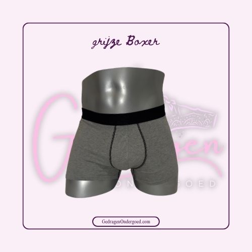 Grijze Heren Boxer met Zwarte Elastieken Rand gedragen door gedragen ondergoed gepresenteerd op een paspop