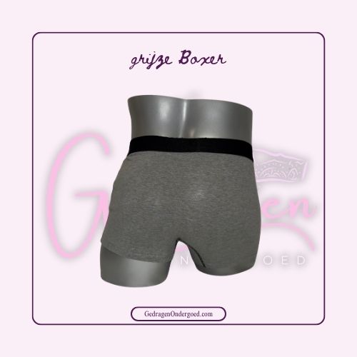 Achterkant Grijze Heren Boxer met Zwarte Elastieken Rand gedragen door gedragen ondergoed gepresenteerd op een paspop