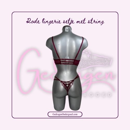 Achterkant van een heel mooi sexy lingerie setje met leuk vlecht details aan de achterkant van de string gepresenteerd op een paspop.